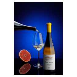 Bononia First Vintage Sauvignon Blanc | 0,75 l Bild 2 Bononia First Vintage Sauvignon Blanc Weisswein aus Bulgarien.