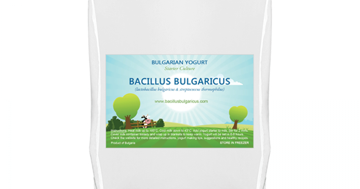 Bacillus Bulgaricus Starterkulturen für 1L bulgarischen Joghurt g