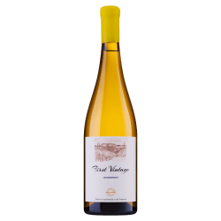 Bononia First Vintage Chardonnay | 0,75 l Bononia First Vintage Chardonnay Weisswein aus Bulgarien.