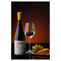 Bononia First Vintage Chardonnay Weisswein aus Bulgarien.