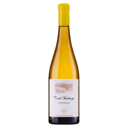 Bononia First Vintage Sauvignon Blanc | 0,75 l Bononia First Vintage Sauvignon Blanc Weisswein aus Bulgarien.