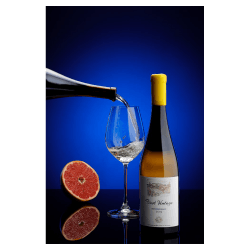 Bononia First Vintage Sauvignon Blanc Weisswein aus Bulgarien.