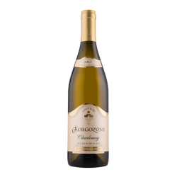 Chateau Burgozone Premium Chardonnay