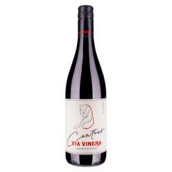 Via Vinera Contour Pinot Noir Rotwein aus Bulgarien.